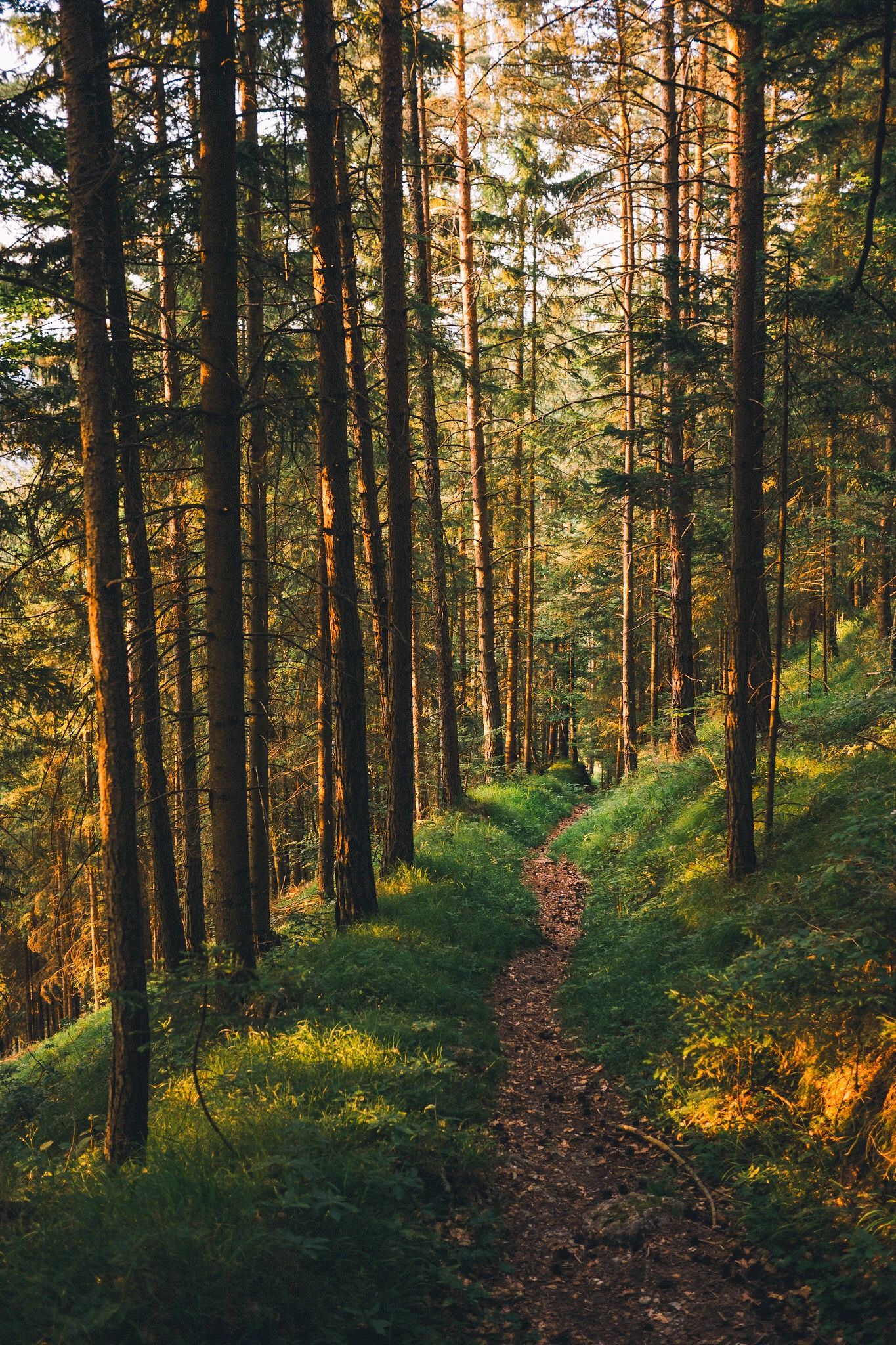 Design for wellbeing: benefits of sustainable architecture